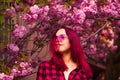 Female model with brightful hair color on sakura blossom background Royalty Free Stock Photo