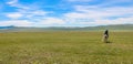 A female mongolian herder, herding cattle on the grassland by horse Royalty Free Stock Photo