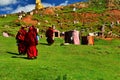Female Monks in Tibet
