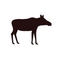 Female moose without horns. vector Royalty Free Stock Photo