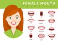 Female mouth animation. Womans talking mouths lips for cartoon character animation and english pronunciation. Sync
