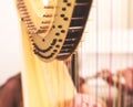 Female musician harpist playing harp during symphonic concert, with other musicians in the background, close up hands of the woman Royalty Free Stock Photo