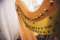 Female musician harpist playing harp during symphonic concert, with other musicians in the background, close up hands of the woman Royalty Free Stock Photo