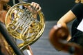 Female musician playing french horn duriing a live orchestra performance Royalty Free Stock Photo