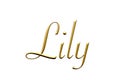 Lily - Female name . Gold 3D icon on white background. Decorative font. Template, signature logo.