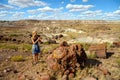 Female national park visitor admiring the view in Petrified Forest National Park, Arizona, USA Royalty Free Stock Photo