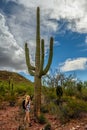 Female nature lover admiring the saguaro cactus Carnegiea gigantea in Saguaro National Park, Arizona