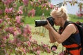 Female nature photographer takes pictures in an apple orchard Royalty Free Stock Photo