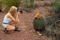 Female nature photographer taking photos of the saguaro cactus Carnegiea gigantea in Saguaro National Park, Arizona Royalty Free Stock Photo