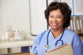 Female Nurse At Nurses Station