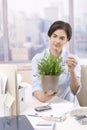 Female office worker holding potted plant Royalty Free Stock Photo