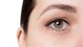 Female open eye, almond-shaped, close up. Caucasian adult woman, isolated on white.