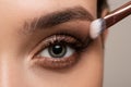 Female open eye close up. Eye makeup for eyebrows and eyelashes. Eyeshadow and powder brush next to her Royalty Free Stock Photo