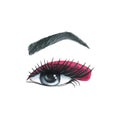 Female open eye with eyebrow, eyelashes and pink shadows. Watercolor illustration, hand drawn. Isolated object on a