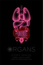 Female Organs X-ray set, Large Intestine infection concept idea