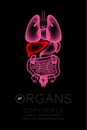 Female Organs X-ray set, Liver infection concept idea red color