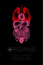 Female Organs X-ray set, Lung infection concept idea red color illustration