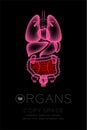 Female Organs X-ray set, Small Intestine infection concept idea