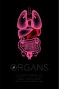 Female Organs X-ray set, Stomach infection concept idea red color