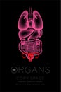 Female Organs X-ray set, Uterus and Ovaries infection concept