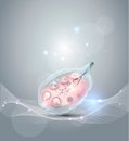 Female ovary abstract grey background