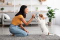 Female owner giving treats to dog standing on hind legs Royalty Free Stock Photo