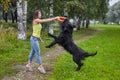 Female owner plays with black briard during walking in park