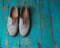 Female pair of suede light shade shoes on the wooded background