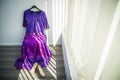 Female Pakistanis Wedding Dress Royalty Free Stock Photo