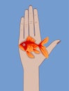 Female palm hand holding a goldfish Royalty Free Stock Photo