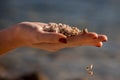 Female palm holding handful of small pebbles, few pebbles are falling Royalty Free Stock Photo
