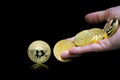 Female hand throws gold bitcoin. bitcoins on a black background. Bitcoins and New Virtual money concept. Bitcoin is a new currency Royalty Free Stock Photo