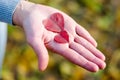 Female palm with two small red hearts carved of autumn leaves on a natural background. Love and family concept. Outdoors Royalty Free Stock Photo