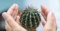 Female palms are wrapped around a prickly cactus