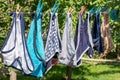 Female panties on clothespins rope. Drying clothes Royalty Free Stock Photo