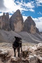 A female person hiking lonely with her dog around the Drei Zinnen mountains, the Dolomites in South Tirol