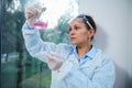 Female pharmacologist examines chemical reaction in lab glass flask, making scientific experiments during clinical study Royalty Free Stock Photo