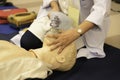 A female physician holding face mask on a mannequin during CPR t