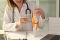 Female physiotherapist holds anatomical model of human knee joint.