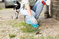 Female Picking Up Dog Feces Royalty Free Stock Photo