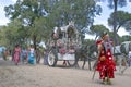 Female pilgrims on their way to El Rocio