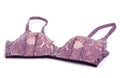 Female pink lace bra Royalty Free Stock Photo