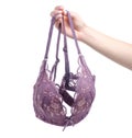 Female pink lace bra in hand Royalty Free Stock Photo