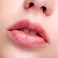 Female pink plump lips makeup