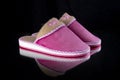 Female Pink Slipper on Black Background, isolated product