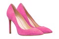 Female pink suede shoes