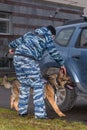 Female police officer with a trained dog sniffs out drugs or bomb in the car. Terrorist attacks prevention. Security. German Royalty Free Stock Photo