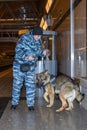 Female police officer with a trained german shepherd dog sniffs out drugs or bomb in luggage. Translations for non-English text: `