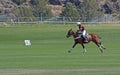 Female Polo Player