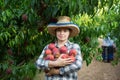 Female professional horticulturist holding stack of peaches